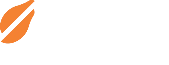 Papaya Search logo